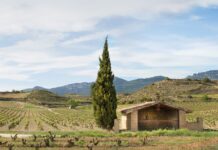 BODEGAS IZADI MEJOR PROYECTO MEDIOAMBIENTAL POR VEREMA