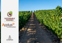 BODEGAS MANZANOS OBTIENE EL CERTIFICADO SwfCP