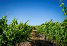 ZAMORA COMPANY APUESTA POR LA CULTURA ECOLÓGICA