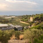 Alta Alella Finca bodega y viñedo (002)