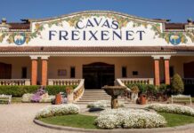 FREIXENET LANZA VINO ESPUMOSO PARA MERCADOS CENTROEUROPEOS