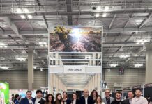 DOP JUMILLA EN JAPÓN