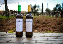 NUEVAS AÑADAS DE EMINA VERDEJO Y EMINA SAUVIGNON BLANC