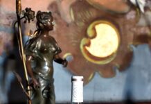 GODELLO 2023 DE PAZO DE LA CUESTA GRAN ORO EN VINESPAÑA