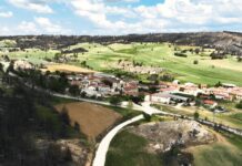 VALTRAVIESO X ARLANZA: REFORESTAR SABINARES DEL ARLANZA