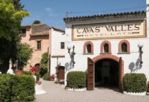 5ª EDICIÓN DE LA FIESTA DE LA FLORACIÓN DE LA CARRETERA DEL VINO