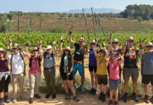 COVIDES PROPONE UN ORIGINAL EVENTO EN PRIMAVERA AECAV