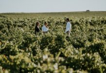 NACE “PARIENTE TRADICIÓN FAMILIAR”