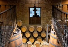 EL ENOTURISMO EN MASAVEU BODEGAS CRECIÓ UN 63% EN 2023