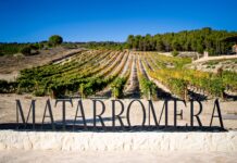 BOD. MATARROMERA LLAMADO A LIDERAR EL FUTURO DE LA AGRICULTURA SOSTENIBLE