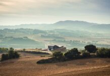 LE NATUREL REPOSADO 2013, “DESCUBRIMIENTO TINTO DEL AÑO”