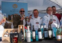 ALTANZA PARTICIPA EN LA 10ª EDICIÓN DE ESTRELAS DO CAMIÑO