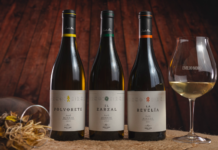 NUEVA BODEGA DE EMILIO MORO EN EL BIERZO