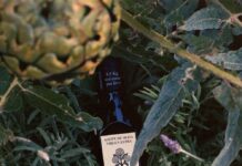 25 AÑOS DE EXCELENCIA DE AUBOCASSA ACEITE DE OLIVA VIRGEN EXTRA