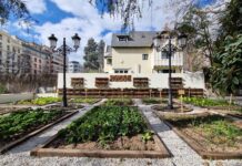 REST. SEEDS. LA HUERTA EN PLENO CENTRO DE MADRID