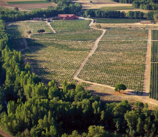 BODEGAS DOMINIO DE FOURNIER, D.O. RIBERA DEL DUERO