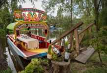 EL WORLD VERDEJO DAY AFIANZA LA UVA AUTÓCTONA DE RUEDA A NIVEL MUNDIAL