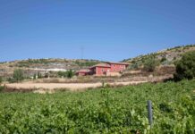 CANTOVERA: LA NUEVA BODEGA DEL GRUPO VALDECUEVAS