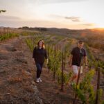 Clos Galena Merche Dalmau – Toni Coca (002)