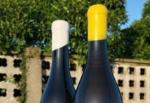 EXCELENTE PUNTUACIÓN “PARKER” PARA FAI UN SOL DE CARALLO 2021