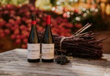 GLORIOSO RENUEVA SU IMÁGEN