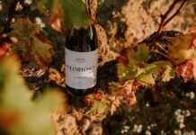 GLORIOSO APUNTA AL BLANCO EN SU NUEVA ETAPA