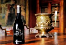 PAZO DE LA CUESTA LANZA SU MENCÍA 2022