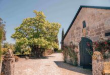 QUINTA DOS CARVALHAIS, D.O. DAO (PORTUGAL)