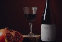 ENTRECANALES DOMECQ E HIJOS AVANZA EN SU PROYECTO DE RIBERA DEL DUERO