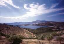 PERELADA ORGANIZARÁ EL PRIMER SIMPOSIO DE VINOS MEDITERRÁNEOS