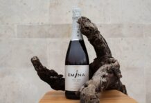 EMINA BRUT 2019, EL PRIMER ESPUMOSO GRAN AÑADA DE LA D.O. RUEDA