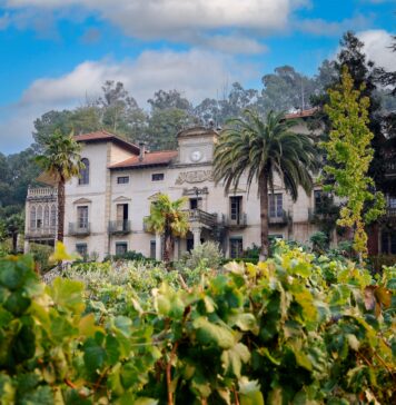 PAZO DE LA CUESTA, D.O. RIBERA SACRA