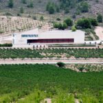 Bodega Sierra Salinas D.O. Alicante 1 FOTO PRINCIPAL (002)
