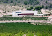 BODEGA SIERRA SALINAS, D.O. ALICANTE