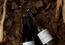 MAGNETIC, NUEVA GAMA DE VINOS JÓVENES DE FAMILIA TORRES