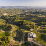 Bodega Cal Grau 3