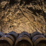 Bodega Cal Grau 5