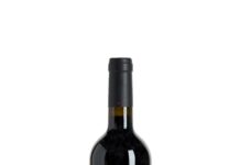 PREDICADOR TINTO 2022: EL LATIDO DE SAN VICENTE DE LA SONSIERRA