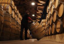 LAS EXPORTACIONES DE RIOJA EN 2024 HAN CRECIDO EXTRAORDINARIAMENTE
