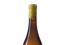 EL PARAGUAS ATLÁNTICO 2023, D.O. RIBEIRO