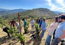 RAFAEL PALACIOS ABRE LAS PUERTAS DE SU BODEGA EN VALDEORRAS