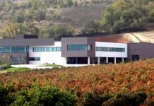 BODEGA TRASLASCUESTAS, D.O. RIBERA DEL DUERO