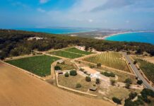 VINTAE ATERRIZA EN FORMENTERA JUNTO A BOD. TERRAMOLL