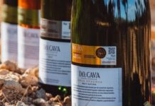 EL CAVA MEETING SUMA MÁS DE 200 CAVAS DE GUARDA SUPERIOR