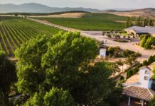 ENOTURISMO EN FINCA RÍO NEGRO. A UNA HORA DE MADRID