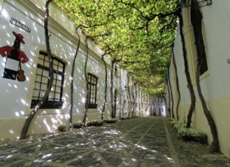 GONZÁLEZ BYASS PARTICIPA EN LOS “OSCAR DEL VINO”