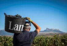 PRIMERAS ESTIMACIONES DE LA VENDIMIA EN BODEGAS LAN