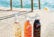 VINTAE COMPRA A DIAGEO EL VERMUT EL BANDARRA