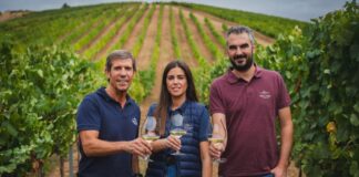 BODEGAS EMILIO MORO CULMINA UNA VENDIMIA EXIGENTE EN RIBERA DEL DUERO