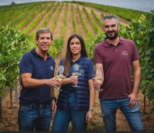 BODEGAS EMILIO MORO CULMINA UNA VENDIMIA EXIGENTE EN RIBERA DEL DUERO